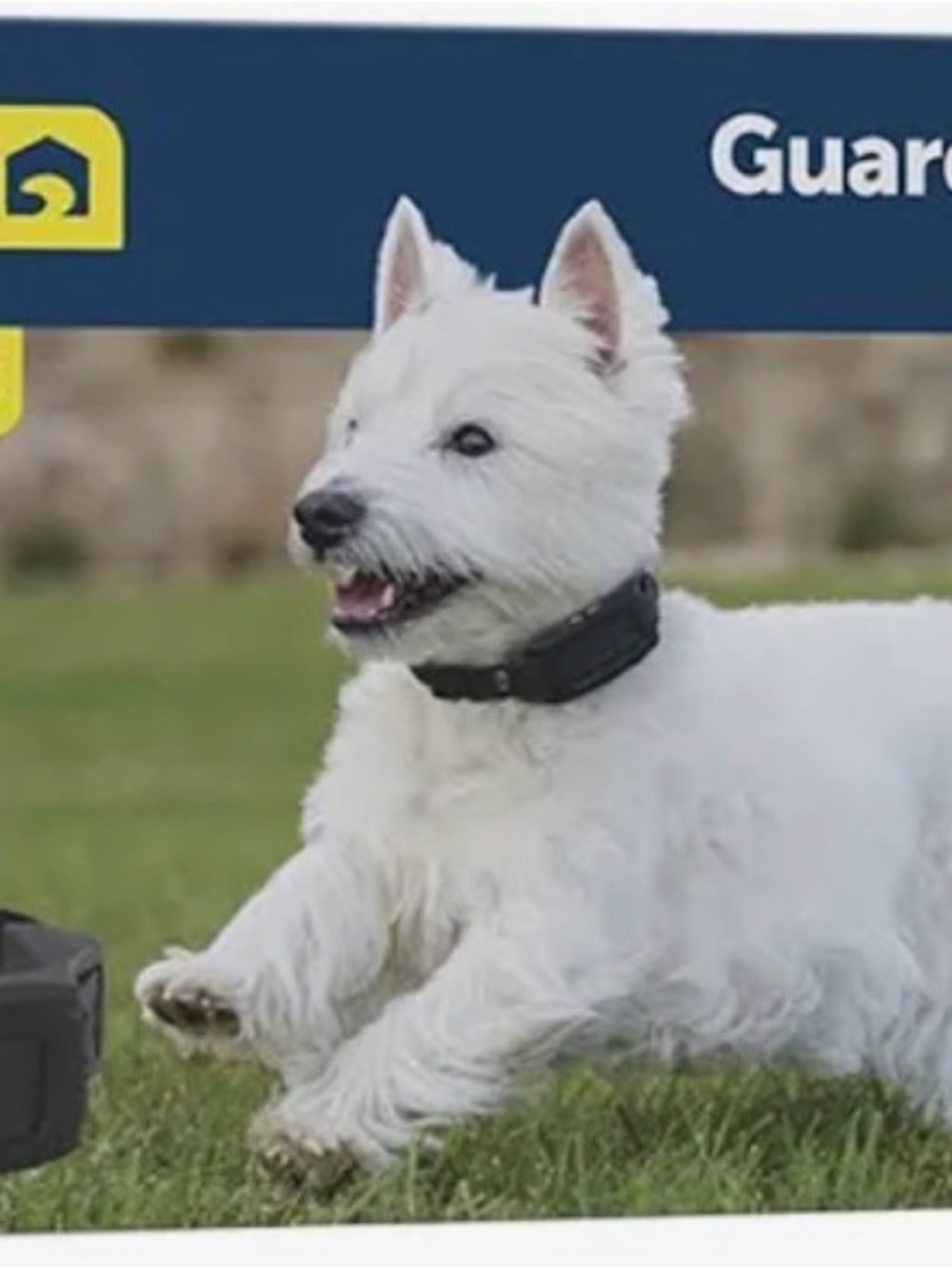 PetSafe Guardian GPS 2.0 Box with Blue and Yellow Branding